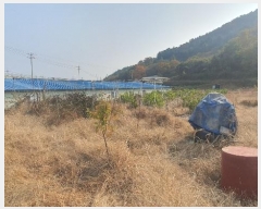  2023Ÿ��6030 �泲 ���ر� �̵��� ������ 652      ����(��)���