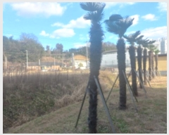  2023Ÿ��6054 �泲 ���ֽ� �ϴ뵿 658-3       ����(��)���