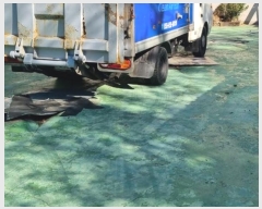  2023Ÿ6122 泲 õ   811-10      Ұ