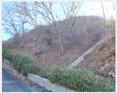  2023Ÿ��6580  �Ӿ߰��