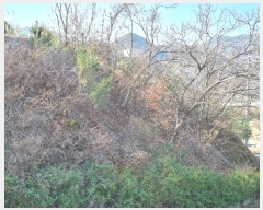  2023Ÿ��6580  �Ӿ߰��