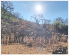  2023Ÿ��6580  �Ӿ߰��