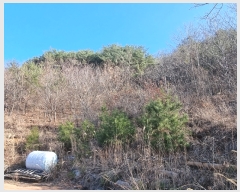  2023Ÿ��6580  �Ӿ߰��