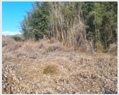  2023Ÿ��30323  �Ӿ߰��