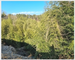  2023Ÿ��30323  �Ӿ߰��