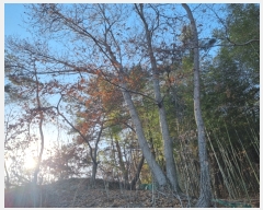  2023Ÿ��30323  �Ӿ߰��