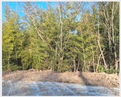  2023Ÿ��30323  �Ӿ߰��