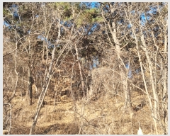  2023Ÿ��30323  �Ӿ߰��