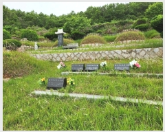  2023Ÿ��33377 �泲 ���ر� ���� ���׸� 929      ����(��1)���