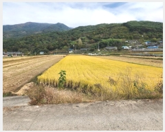  2023Ÿ��36994  ����