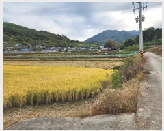  2023Ÿ��36994  ����