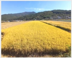  2023Ÿ��36994  ����