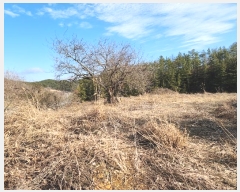  2023Ÿ��39658  ���������