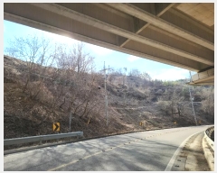  2023Ÿ��39658  ���������