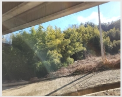  2023Ÿ��39658  ���������