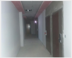  2023Ÿ��346  ���ڽü����