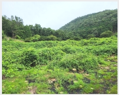  2023Ÿ��34608 �泲 ��õ�� �Ǿȵ� 48-1       ����(��)���