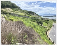  2023Ÿ��34608 �泲 ��õ�� �Ǿȵ� 48-1       ����(��)���