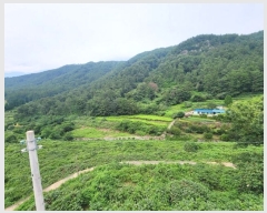  2023Ÿ��34608 �泲 ���ֽ� �žȵ� 465-12       ��,�繫�ǰ��