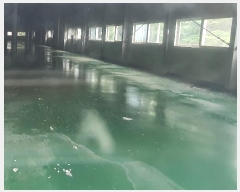  2023Ÿ��34677  ������