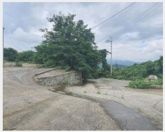  2023Ÿ��34677  ������