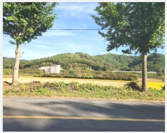  2023Ÿ��37003  �����