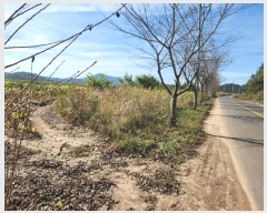  2023Ÿ��37003  �����