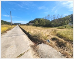  2023Ÿ��37003 �泲 ���ֽ� �ϴ뵿 125-20       �ܵ�����,�����ð��