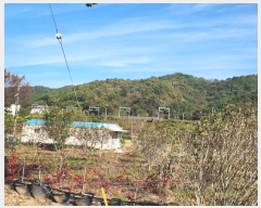  2023Ÿ��37003 �泲 ���ֽ� �ϴ뵿 125-20       �ܵ�����,�����ð��