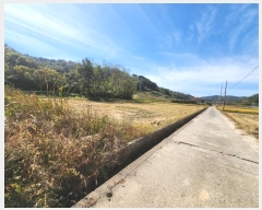  2023Ÿ��37003 �泲 ���ֽ� �ϴ뵿 125-20       �ܵ�����,�����ð��