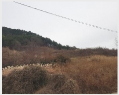  2023Ÿ��39252 �泲 ��õ�� �Ǿȵ� 720       ����(��1)���