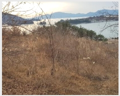  2023Ÿ��39252 �泲 ��õ�� �Ǿȵ� 720       ����(��1)���