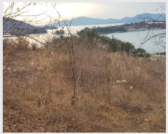  2023Ÿ��39252 �泲 ��õ�� �Ǿȵ� 720       ����(��1)���