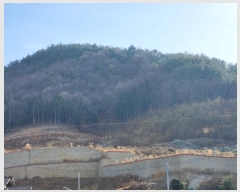  2023Ÿ39290 泲 õ Ǿȵ 247-1       (Ӿ)