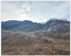  2023Ÿ39290 泲 õ Ǿȵ 247-1       (Ӿ)