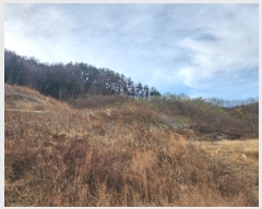  2023Ÿ39290 泲 õ Ǿȵ 247-1       (Ӿ)