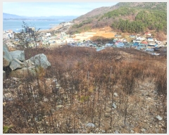  2023Ÿ39290 泲 õ Ǿȵ 247-1       (Ӿ)