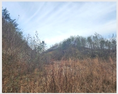  2023Ÿ39290 泲 õ Ǿȵ 247-1       (Ӿ)