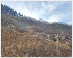  2023Ÿ39290 泲 õ Ǿȵ 247-1       (Ӿ)