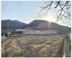  2023Ÿ39290 泲 õ Ǿȵ 247-1       (Ӿ)