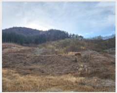  2023Ÿ39290 泲 õ Ǿȵ 247-1       (Ӿ)