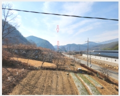  2023Ÿ308 泲 ֽ   675, 102 151504ȣ (ݺƮ)   Ʈ