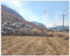  2023Ÿ308 泲 ֽ   675, 102 151504ȣ (ݺƮ)   Ʈ