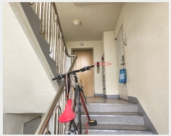  2023Ÿ308 泲 ֽ   675, 102 151504ȣ (ݺƮ)   Ʈ