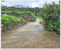  2023Ÿ��4621 �泲 ��û�� �ݼ��� ���̸� 1117-2      ����(��)���