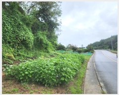  2023Ÿ��4621 �泲 ��û�� �ݼ��� ���̸� 1117-2      ����(��)���