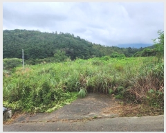  2023Ÿ��4621 �泲 ��û�� �ݼ��� ���̸� 1117-2      ����(��)���