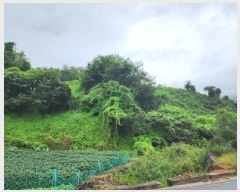  2023Ÿ��4621 �泲 ��û�� �ݼ��� ���̸� 1117-2      ����(��)���