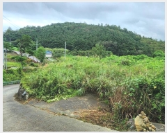  2023Ÿ��4621 �泲 ��û�� �ݼ��� ���̸� 1117-2      ����(��)���