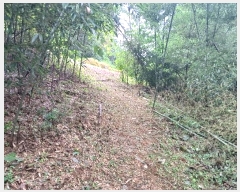  2023Ÿ36468 泲 ر ̵  985-9      (1)